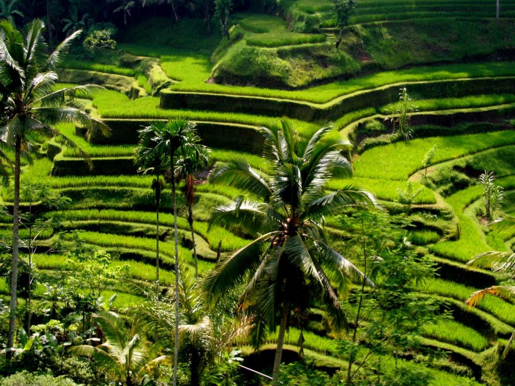 Besakih Mother Temple Ubud Tour