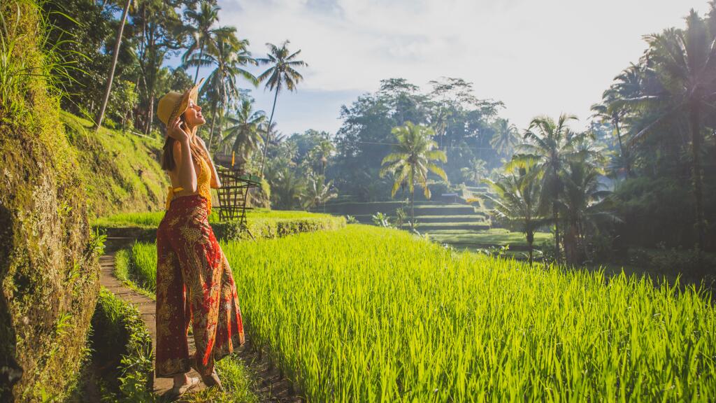 Ubud Town & Rice Terrace Tour