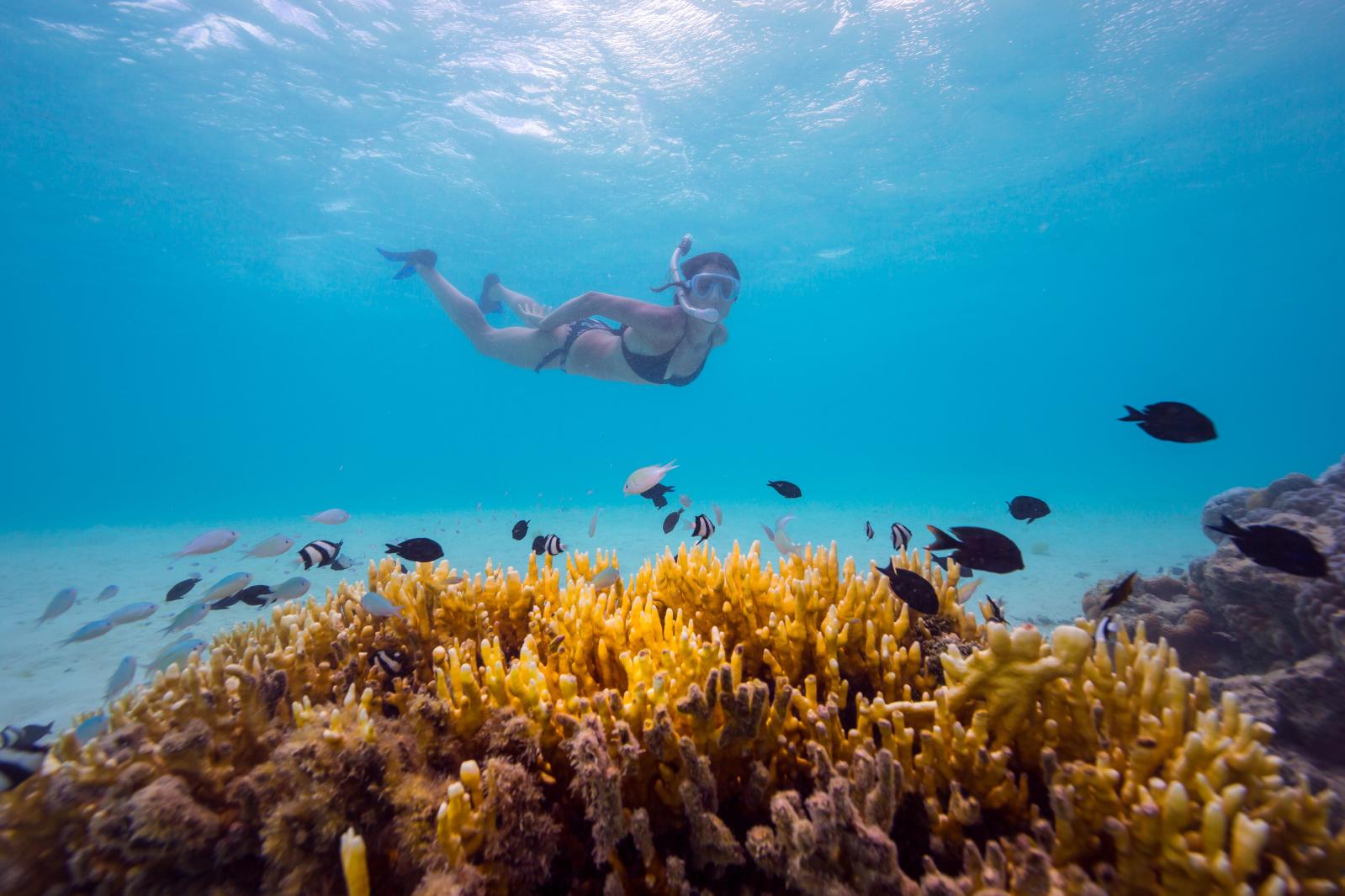 Snorkelling