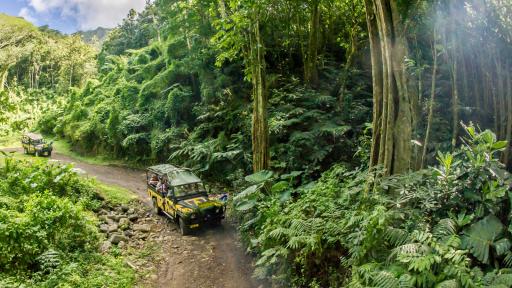 Raro Safari 4WD Inland Tour