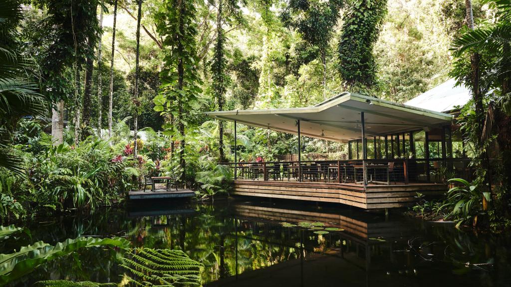 Daintree Ecolodge Packages