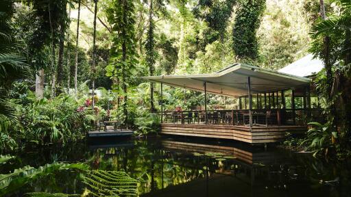 Daintree Ecolodge