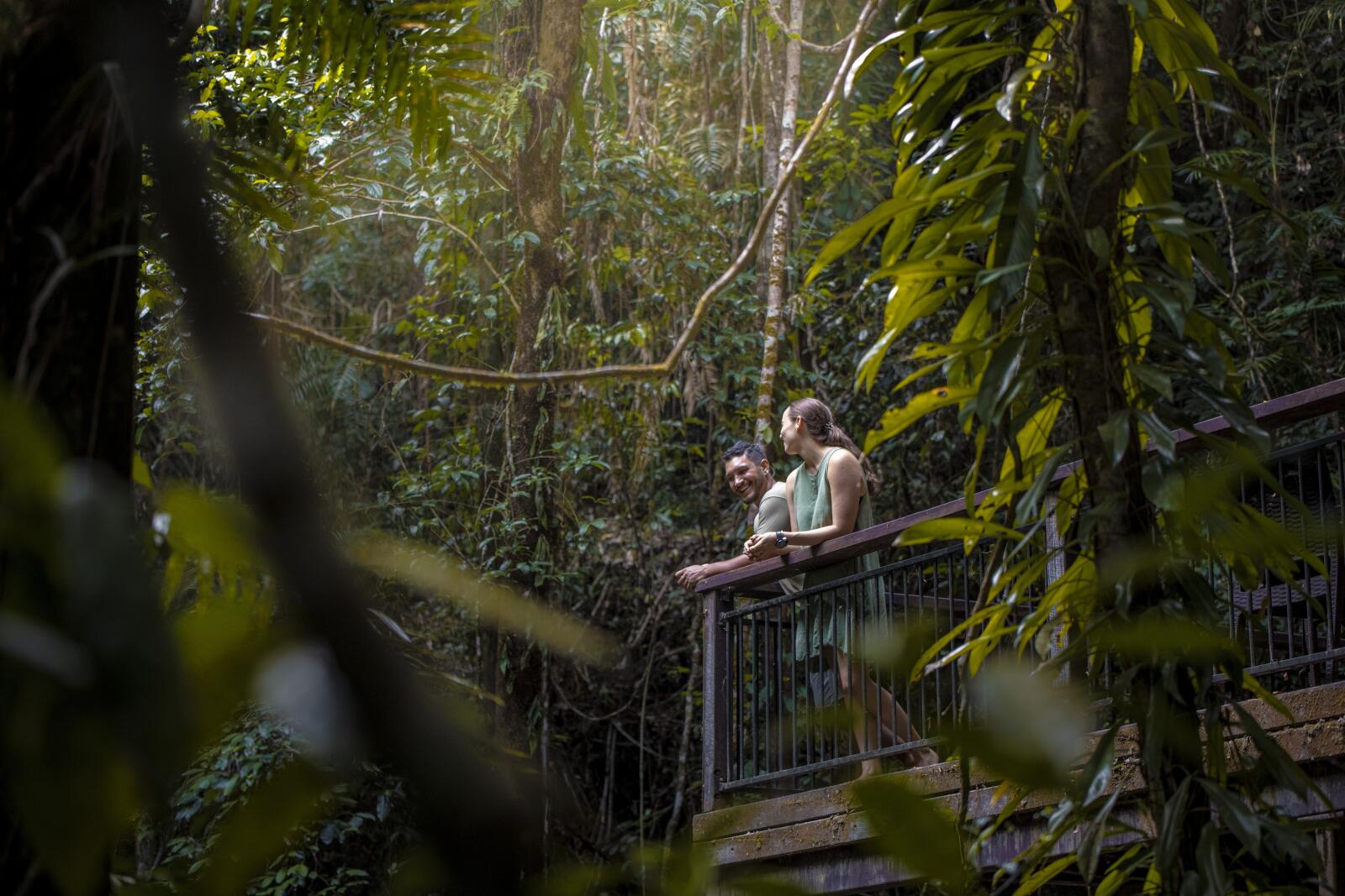 Daintree - Tourism TNQ