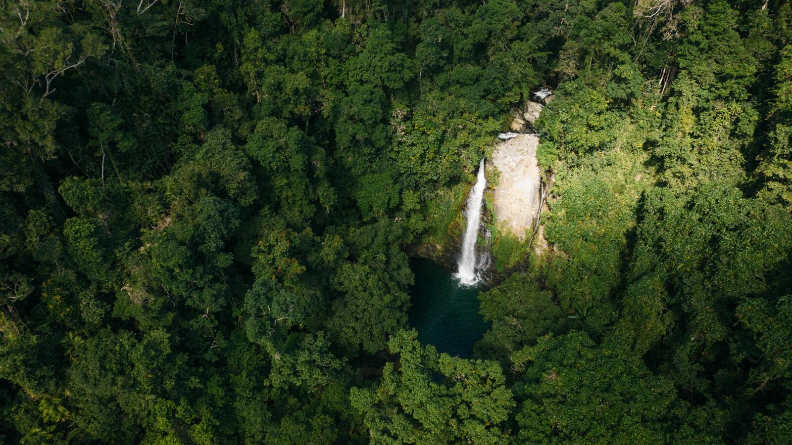 Tourism Port Douglas Daintree - Hiking Waterfall