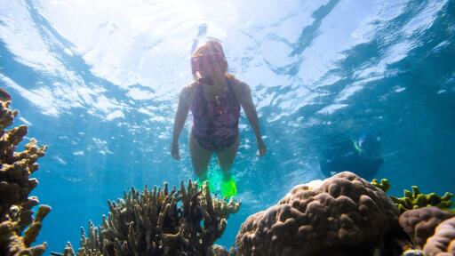 Snorkelling