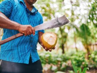 Coconut Opening