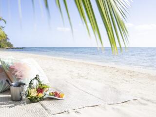 Beach Picnic