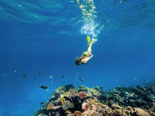 Sheraton Resort & Spa Tokoriki Island - Snorkelling