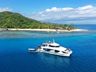 Tiger at Castaway Island Resort