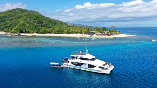 Tiger at Castaway Island Resort