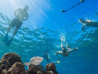 Barefoot Kuata Island Cruise Snorkel with Sharks