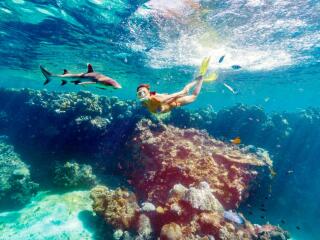 Barefoot Kuata Island Cruise Snorkel with Sharks