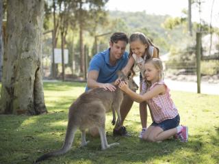 Paradise Country - Kangaroos