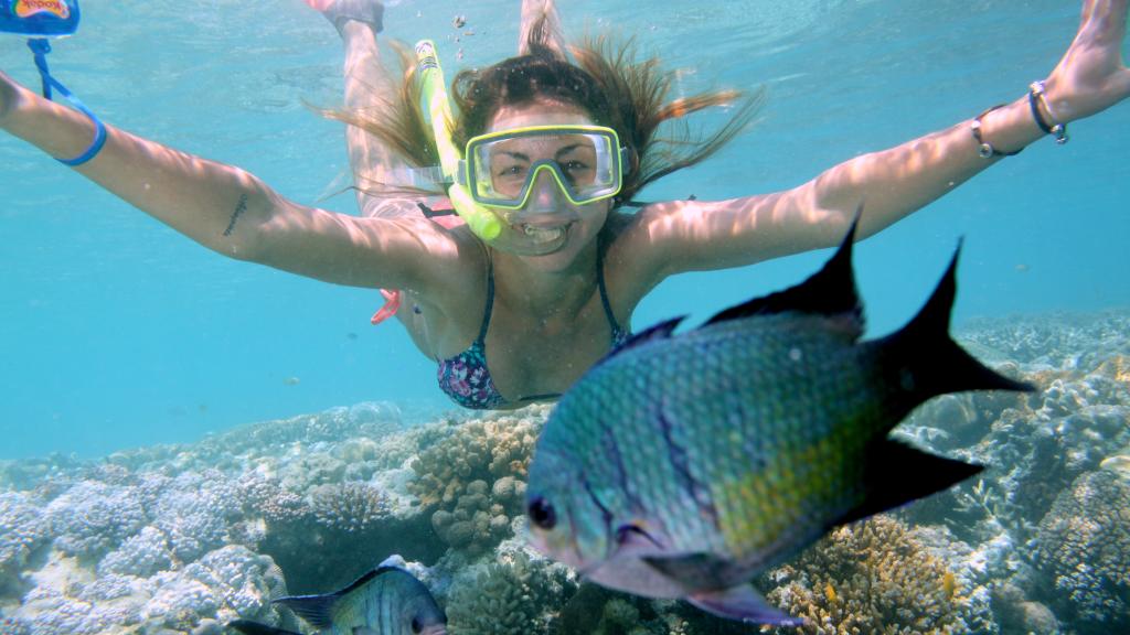 Australian Model Jarrod Scott Announces Project To Help Save The Reef