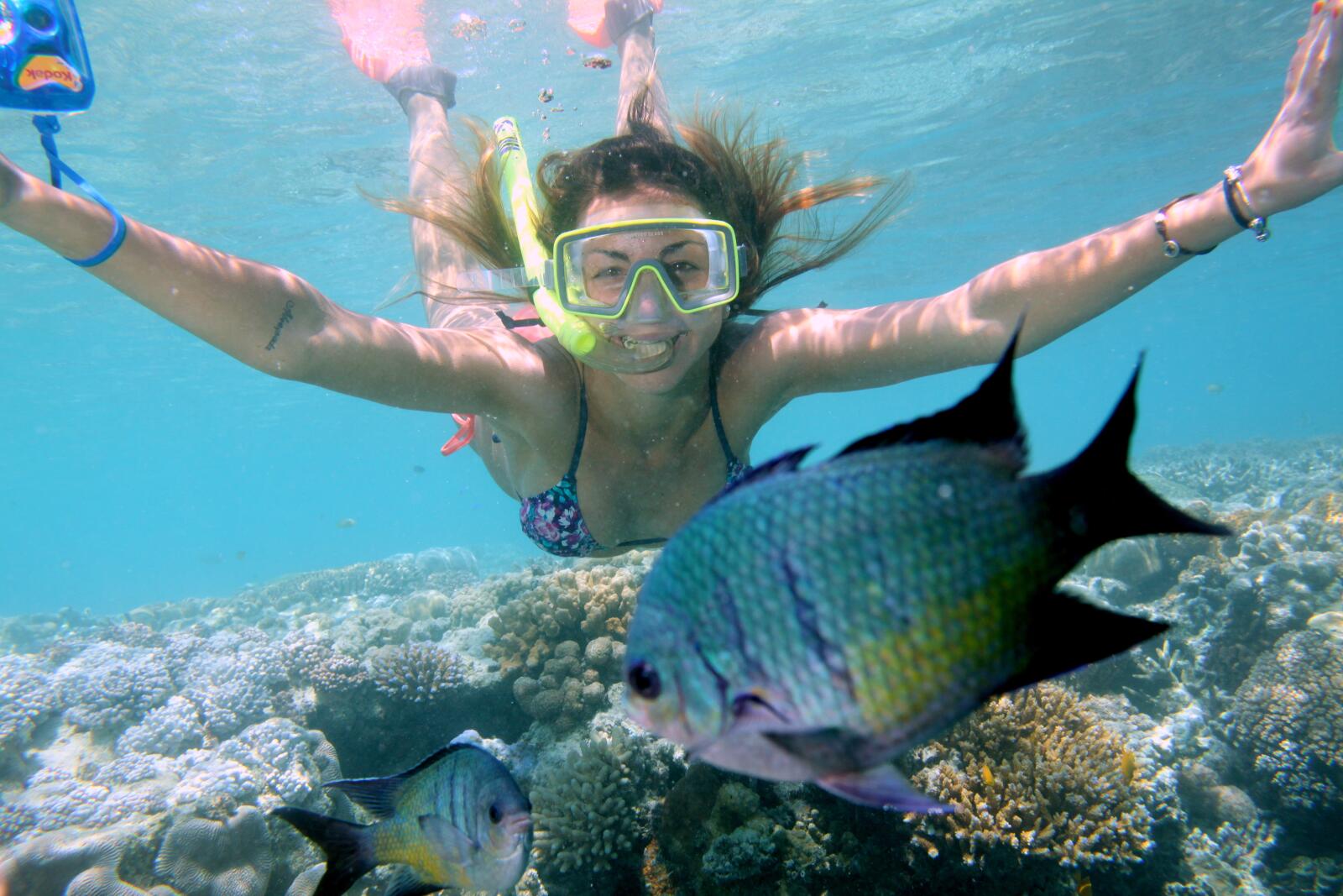 Great Barrier Reef Adventure