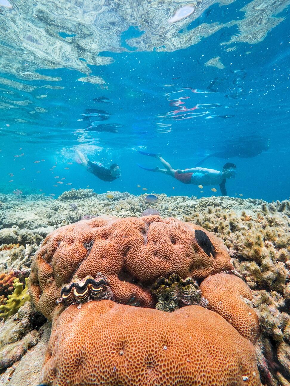 Great Barrier Reef Adventure