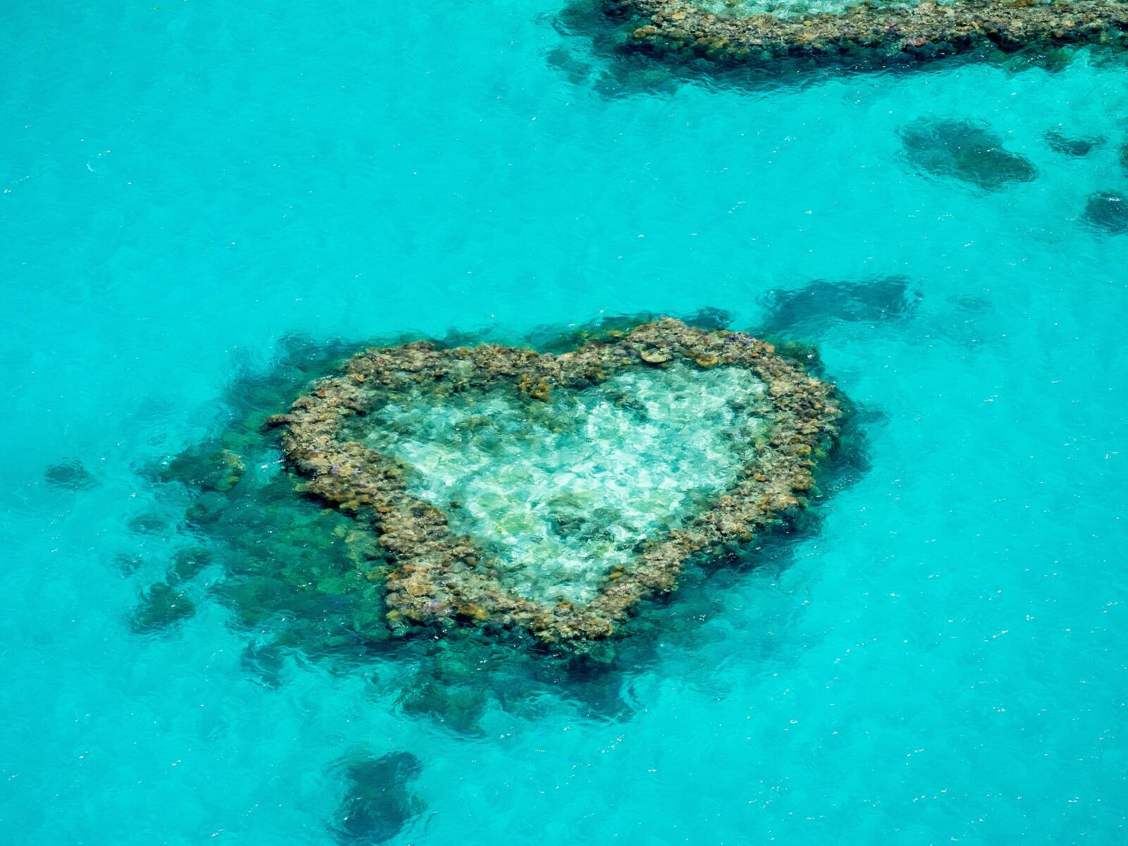 Great Barrier Reef Adventure