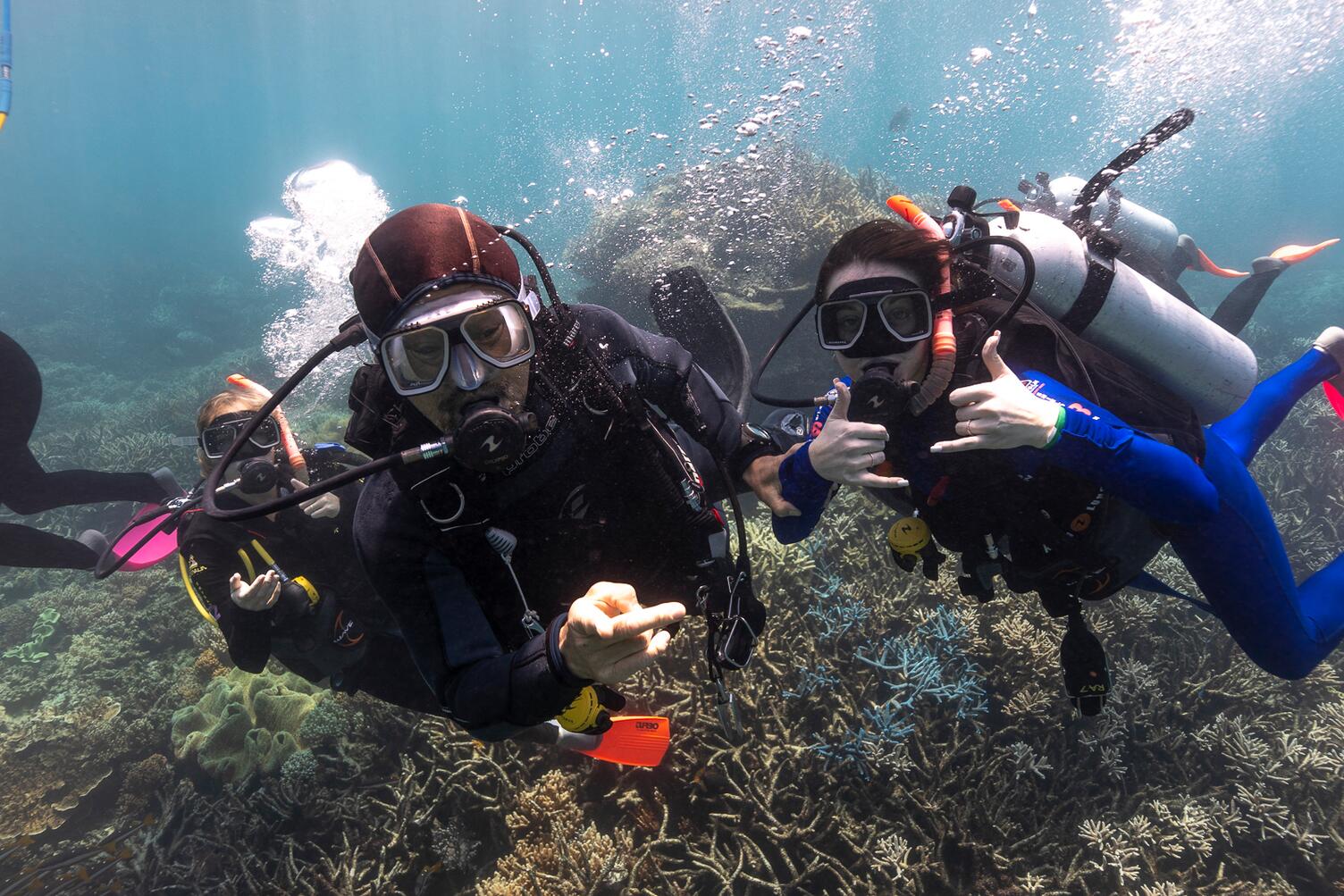 Great Barrier Reef Dive