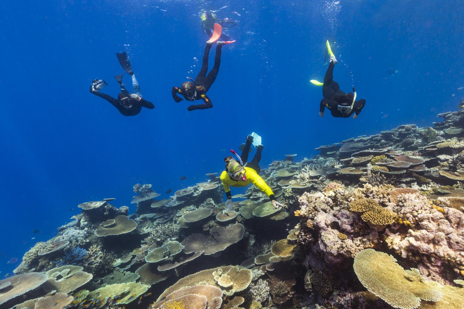 Great Barrier Reef_TEQ