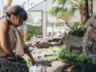 Koi Pond