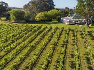 Spicers Vineyards Estate