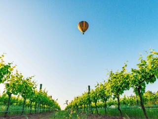 Balloon Aloft