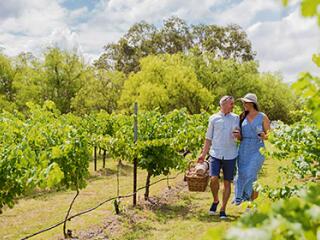 Hunter Valley Tours