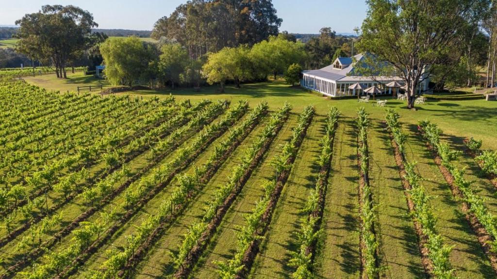 Spicers Vineyards Estate