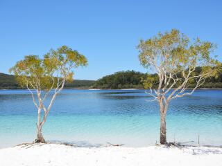 Kingfisher Bay Resort - Lake