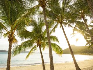 Catseye Beach - Hamilton Island