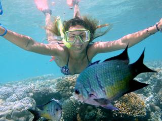 Great Barrier Reef Adventure - Cruise Whitsundays