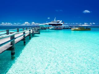 Jetty & Launch - Heron Island