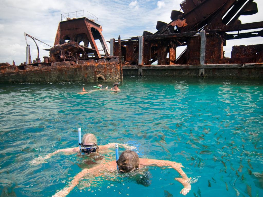 moreton island snorkelling tours