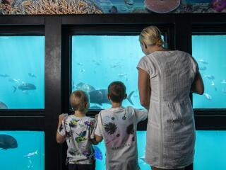 Great Barrier Reef Adventure