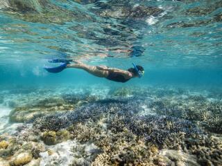 Great Barrier Reef Adventure