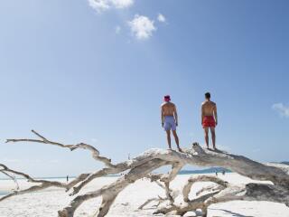 Whitehaven Beach Half Day