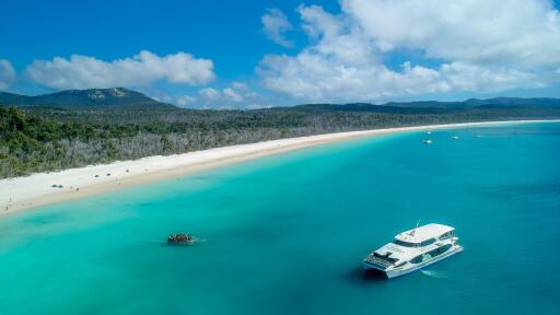 Whitehaven Beach Half Day