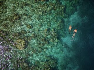 Snorkelling