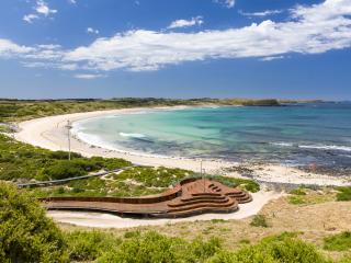 Penguin Viewing Platform