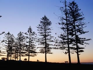 NSW Coast