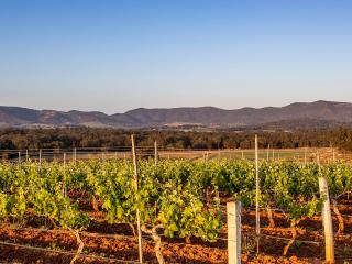 Hunter Valley Tours