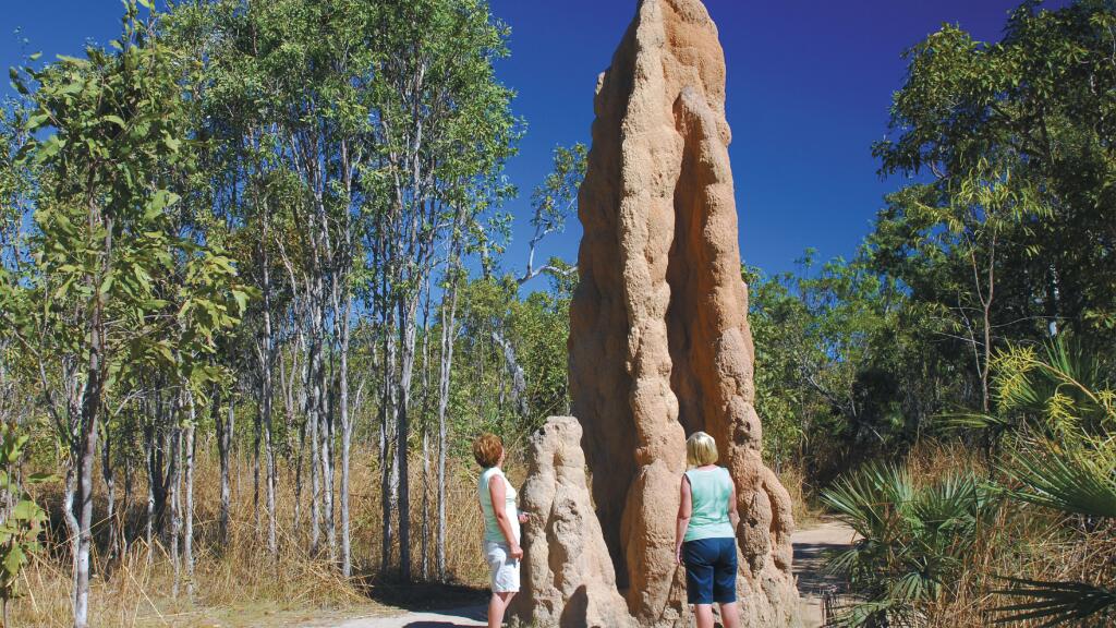 Termite Mounds Litchfield