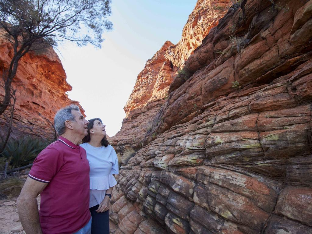 Kings Canyon Outback Panorama Tour