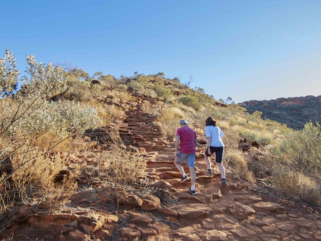 Kings Canyon Outback Panorama Tour