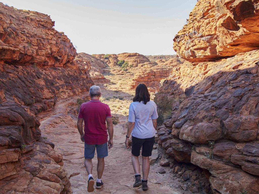 Kings Canyon Outback Panorama Tour