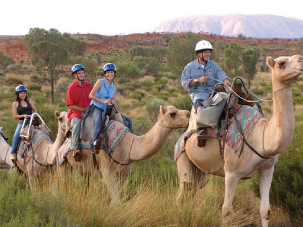 camels to sunrise tour ayers rock ontour