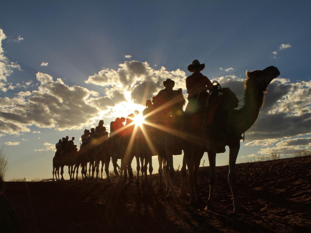 Take A Camel To Sunset Tour