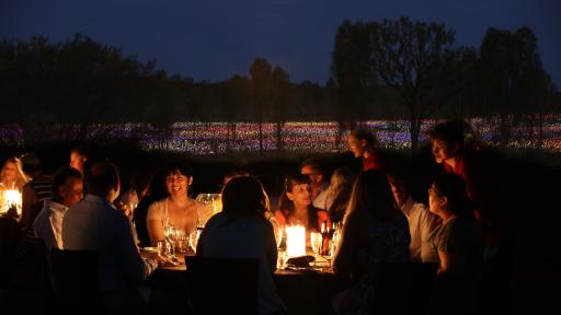 Field of Lights Event at Uluru