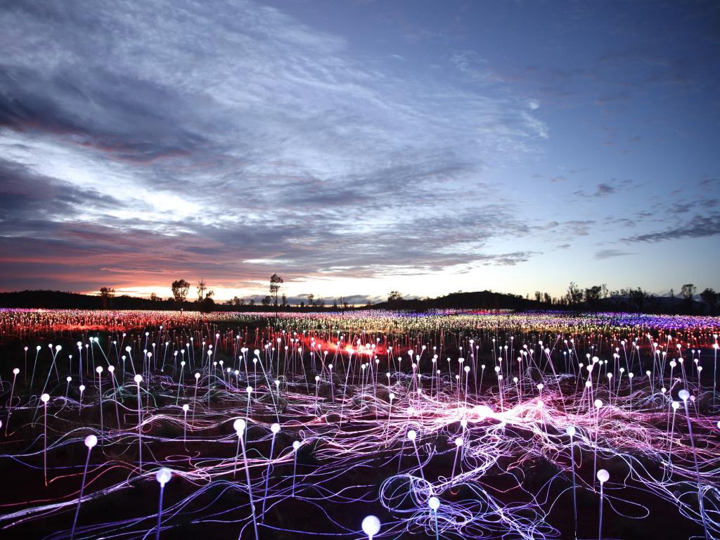 Field of Lights Event at Uluru