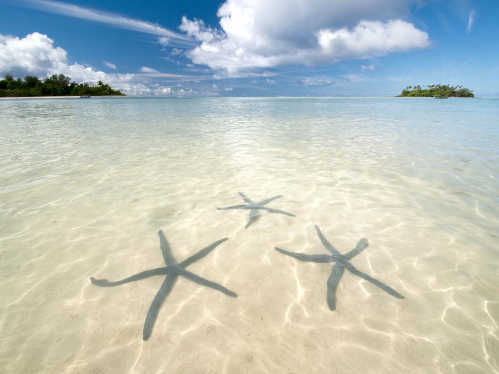 Cook Islands Paradise: Save 25% + Bonus Cruise